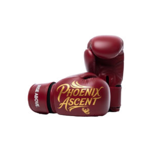 Boxing Sparring Gloves